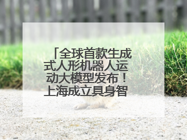 全球首款生成式人形机器人运动大模型发布！上海成立具身智能数据联盟