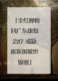全红婵将回广东康复治疗 或缺席新加坡世锦赛
