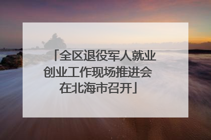 全区退役军人就业创业工作现场推进会在北海市召开