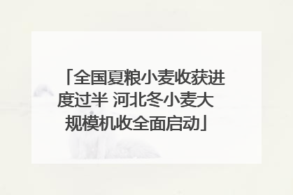 全国夏粮小麦收获进度过半 河北冬小麦大规模机收全面启动