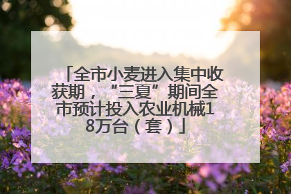 全市小麦进入集中收获期，“三夏”期间全市预计投入农业机械18万台（套）
