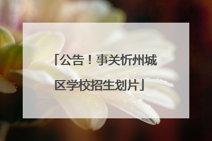 公告！事关忻州城区学校招生划片