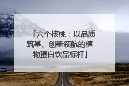 六个核桃：以品质筑基、创新领航的植物蛋白饮品标杆