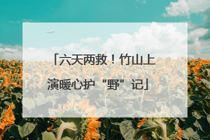 六天两救！竹山上演暖心护“野”记