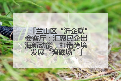 兰山区“沂企联”会客厅：汇聚民企出海新动能，打造跨境发展“强磁场”