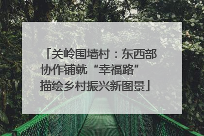 关岭围墙村：东西部协作铺就“幸福路” 描绘乡村振兴新图景