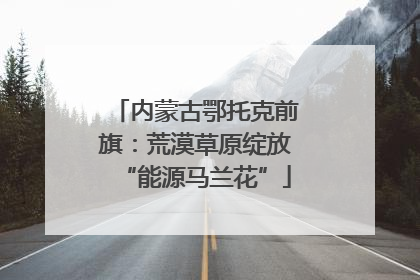 内蒙古鄂托克前旗：荒漠草原绽放“能源马兰花”