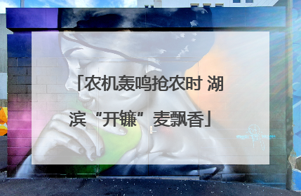 农机轰鸣抢农时 湖滨“开镰”麦飘香