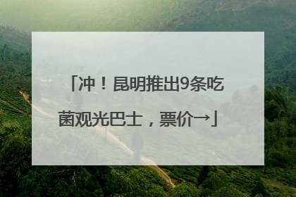 冲！昆明推出9条吃菌观光巴士，票价→