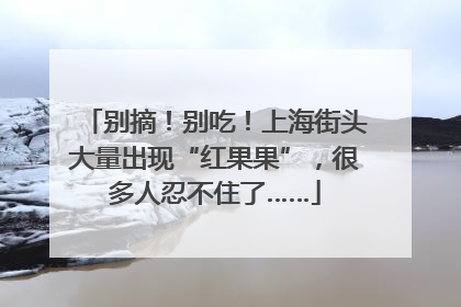 别摘！别吃！上海街头大量出现“红果果”，很多人忍不住了……
