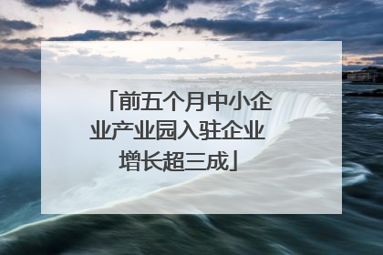 前五个月中小企业产业园入驻企业增长超三成