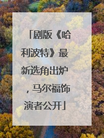 剧版《哈利波特》最新选角出炉，马尔福饰演者公开