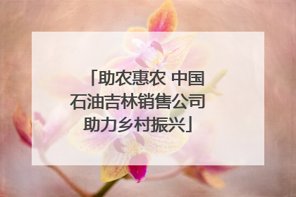 助农惠农 中国石油吉林销售公司助力乡村振兴
