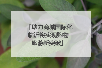 助力商城国际化 临沂将实现购物旅游新突破