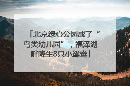 北京绿心公园成了“鸟类幼儿园”，福泽湖畔降生8只小鸳鸯