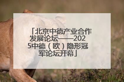 北京中德产业合作发展论坛——2025中德（欧）隐形冠军论坛开幕