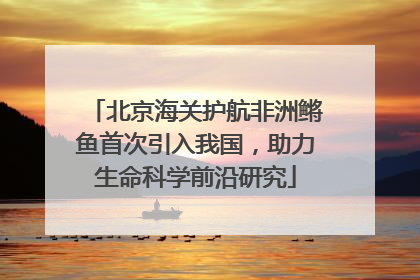 北京海关护航非洲鳉鱼首次引入我国，助力生命科学前沿研究