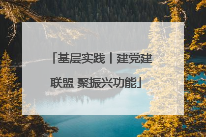 基层实践丨建党建联盟 聚振兴功能