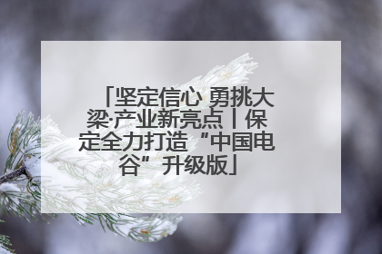 坚定信心 勇挑大梁·产业新亮点丨保定全力打造“中国电谷”升级版