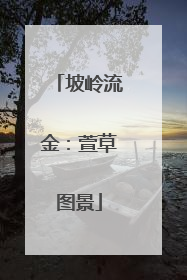 坡岭流金：萱草图景