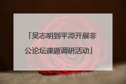 吴志明到平潭开展非公论坛课题调研活动