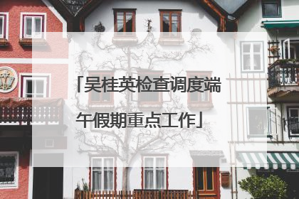 吴桂英检查调度端午假期重点工作