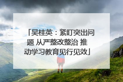 吴桂英：紧盯突出问题 从严整改整治 推动学习教育见行见效