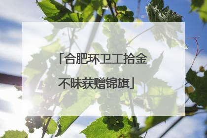 合肥环卫工拾金不昧获赠锦旗