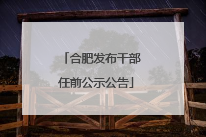 合肥发布干部任前公示公告