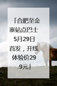 合肥至金寨站点巴士5月29日首发，开线体验价29.9元