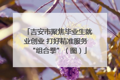吉安市聚焦毕业生就业创业 打好精准服务“组合拳”（图）