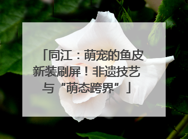 同江：萌宠的鱼皮新装刷屏！非遗技艺与“萌态跨界”