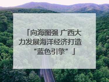 向海图强 广西大力发展海洋经济打造“蓝色引擎”