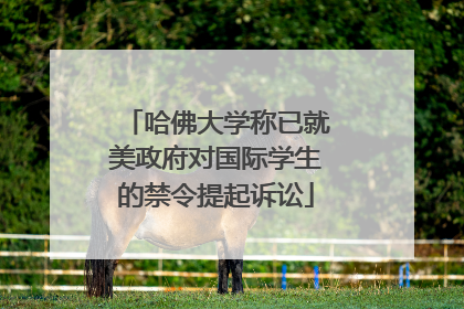 哈佛大学称已就美政府对国际学生的禁令提起诉讼