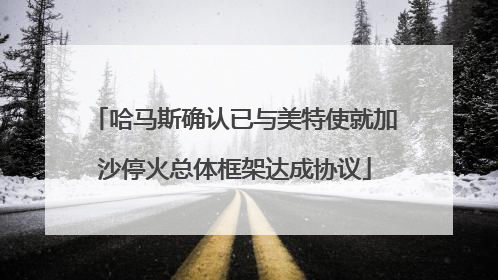 哈马斯确认已与美特使就加沙停火总体框架达成协议