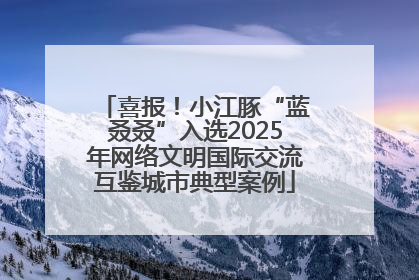 喜报！小江豚“蓝叒叒”入选2025年网络文明国际交流互鉴城市典型案例