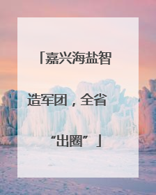 嘉兴海盐智造军团，全省“出圈”