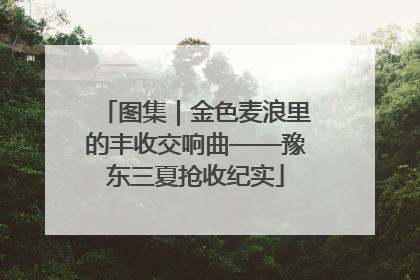 图集｜金色麦浪里的丰收交响曲——豫东三夏抢收纪实