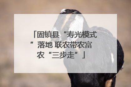 固镇县“寿光模式”落地 联农带农富农“三步走”