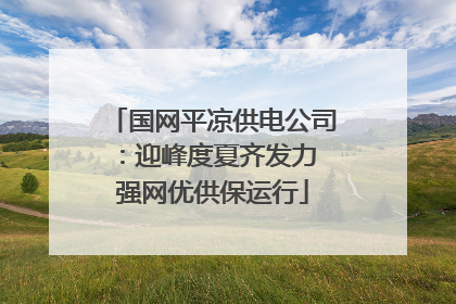国网平凉供电公司：迎峰度夏齐发力 强网优供保运行