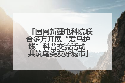 国网新疆电科院联合多方开展“爱鸟护线”科普交流活动 共筑鸟类友好城市