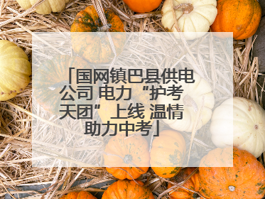 国网镇巴县供电公司 电力“护考天团”上线 温情助力中考