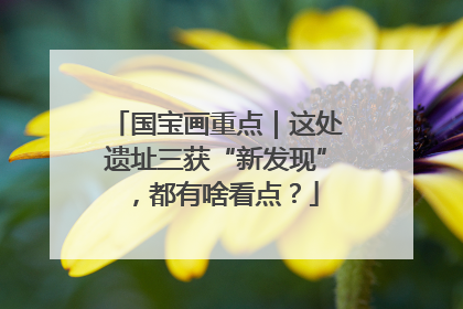 国宝画重点｜这处遗址三获“新发现”，都有啥看点？