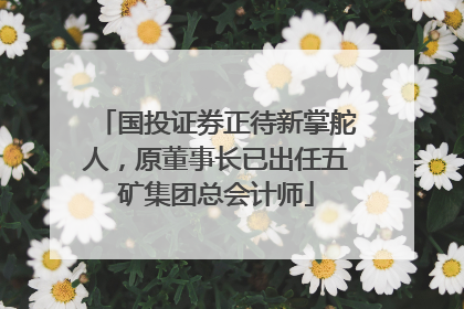 国投证券正待新掌舵人，原董事长已出任五矿集团总会计师