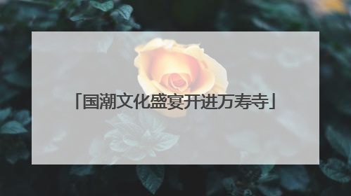 国潮文化盛宴开进万寿寺