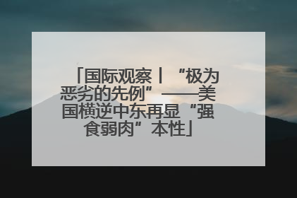 国际观察丨“极为恶劣的先例”——美国横逆中东再显“强食弱肉”本性
