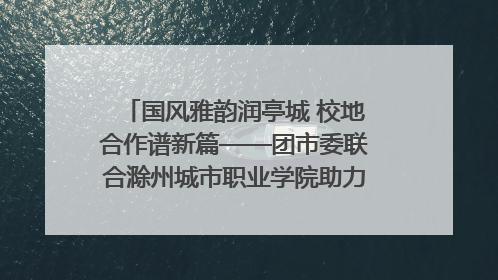 国风雅韵润亭城 校地合作谱新篇——团市委联合滁州城市职业学院助力传统文化“破圈”绽放