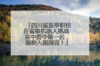 四川省盐亭职校在省级机器人挑战赛中勇夺第一名，强势入围国赛！