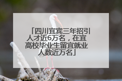 四川宜宾三年招引人才近6万名，在宜高校毕业生留宜就业人数近万名