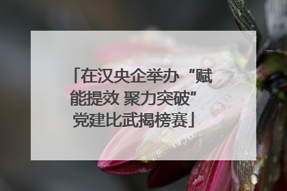 在汉央企举办“赋能提效 聚力突破”党建比武揭榜赛
